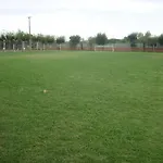 El Delfin