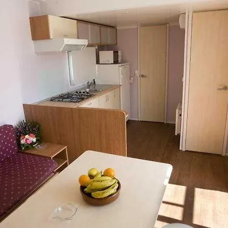 El Delfin 2* Torroella de Montgrí